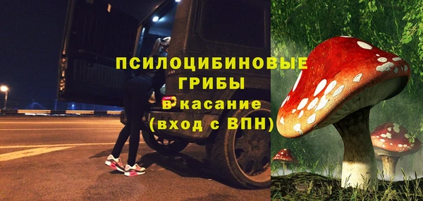 мдпв Киреевск