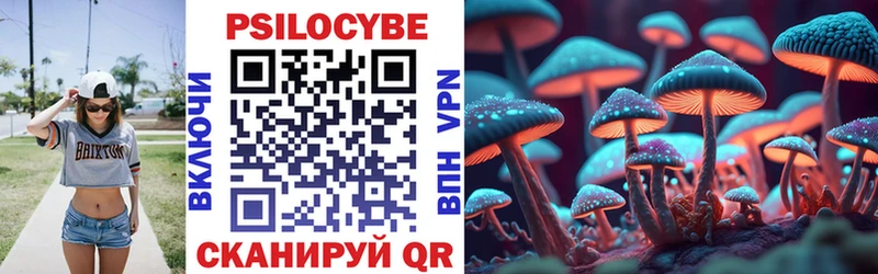 Псилоцибиновые грибы Magic Shrooms  Купить  Рассказово 